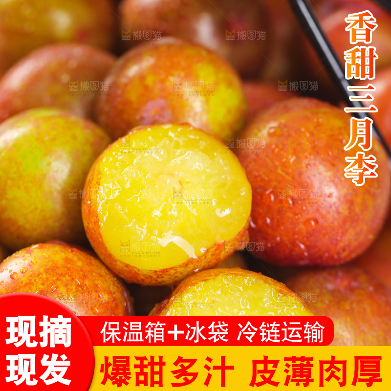 一篮红三月李
