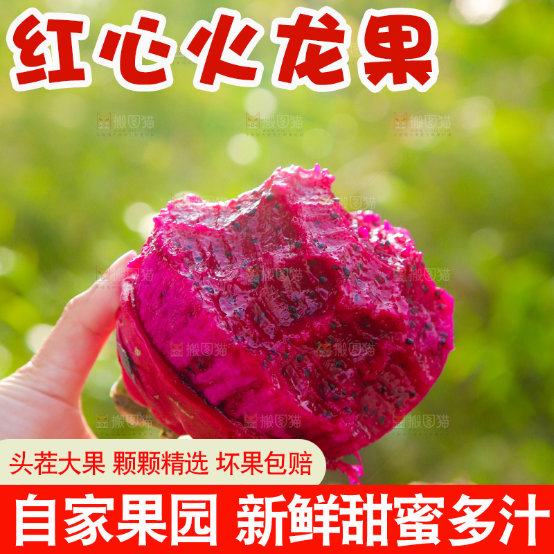 手里拿着咬过的红肉火龙果