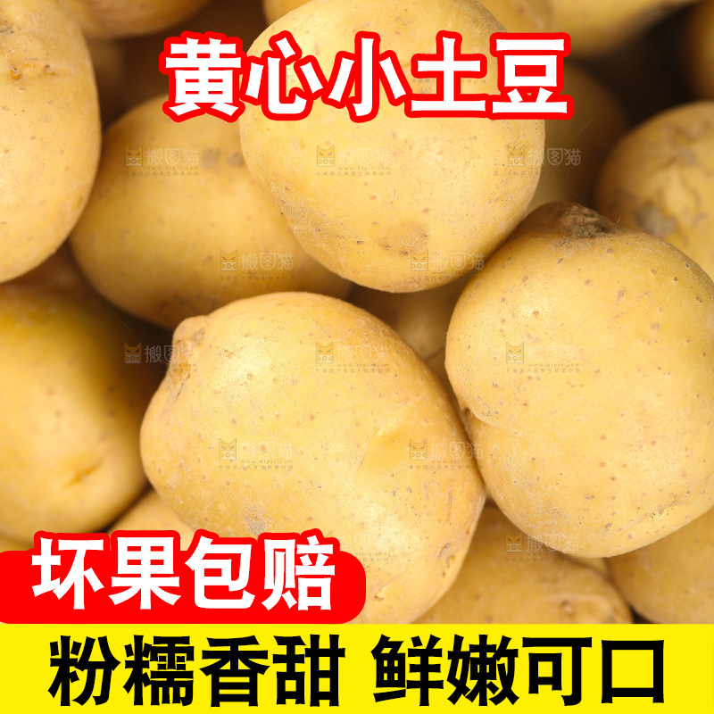 一堆小土豆