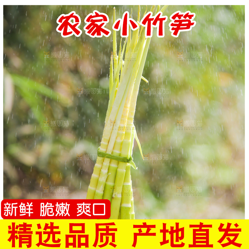 新鲜的小竹笋