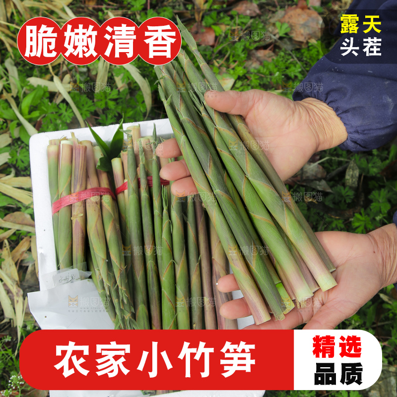 手里拿着小竹笋