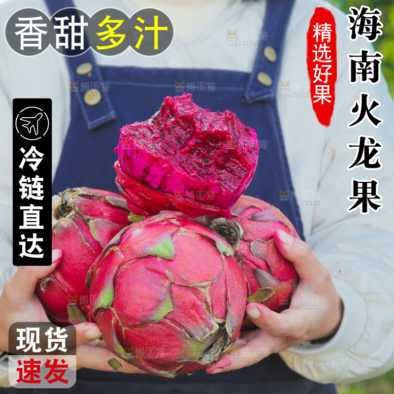 手里捧着金都一号红心火龙果