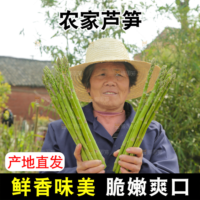 手里拿着青芦笋