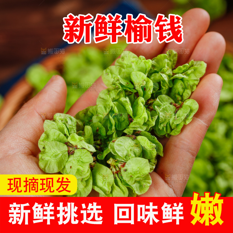 手里拿着榆钱