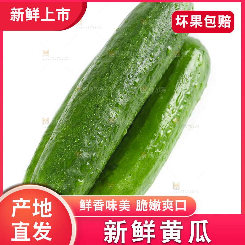 白底上的荷兰黄瓜