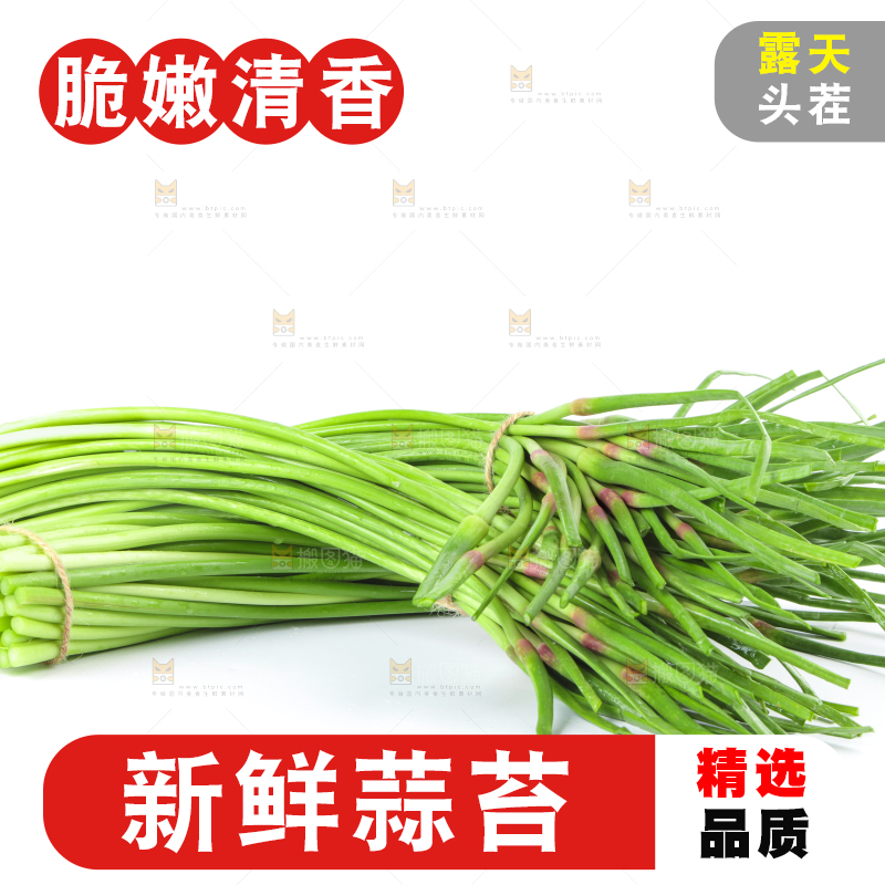 白底上的鲜嫩蒜苔