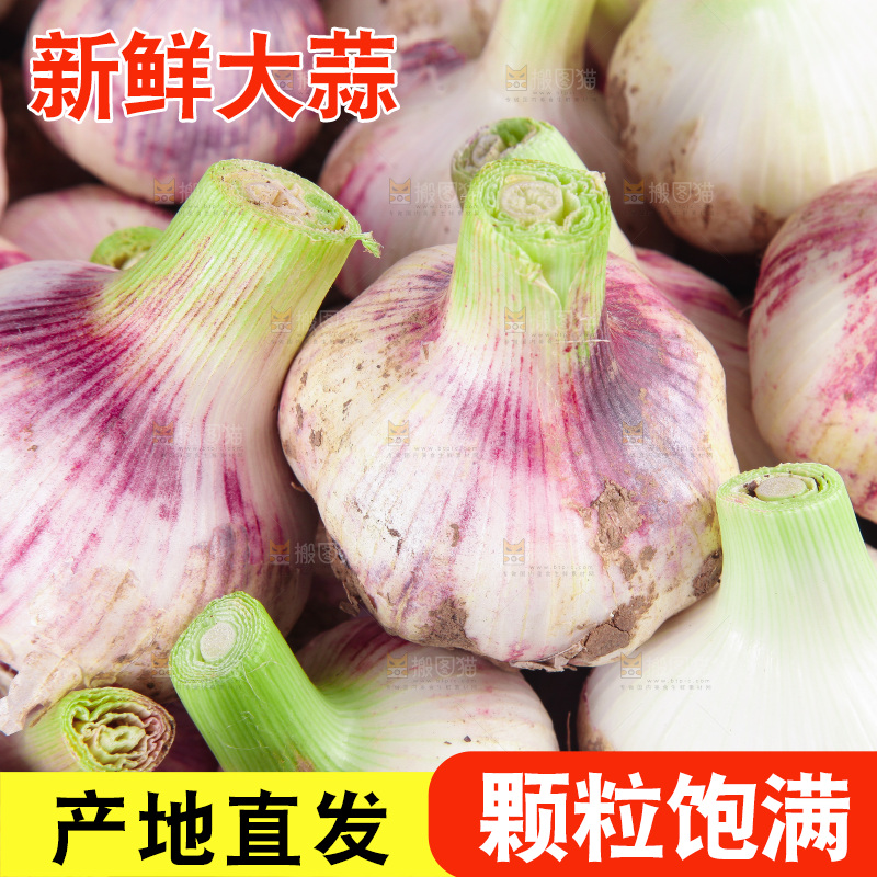 新鲜大蒜纹理