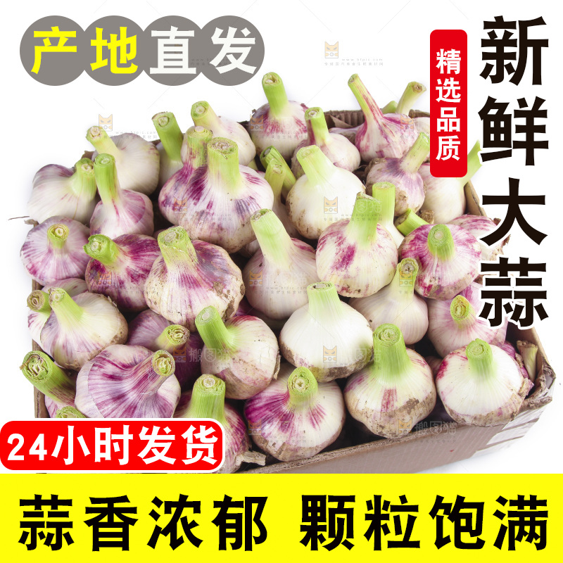 一箱新鲜大蒜