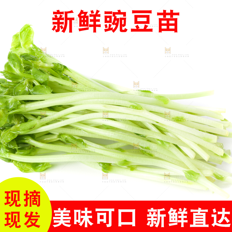 白底上放着豌豆芽菜