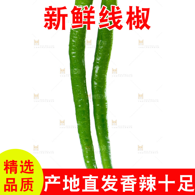 手里拿着二荆条辣椒