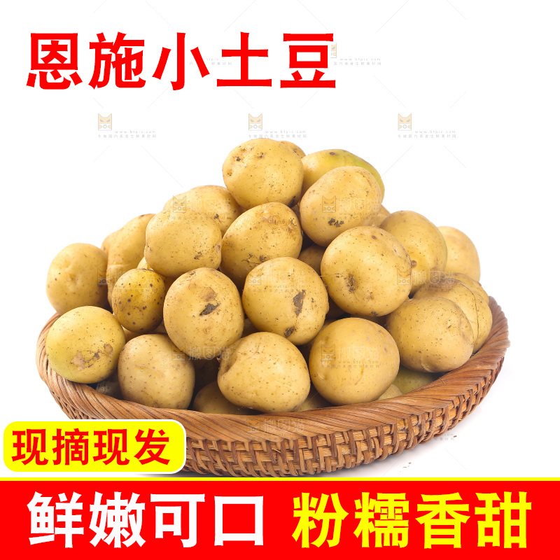 一篮小土豆