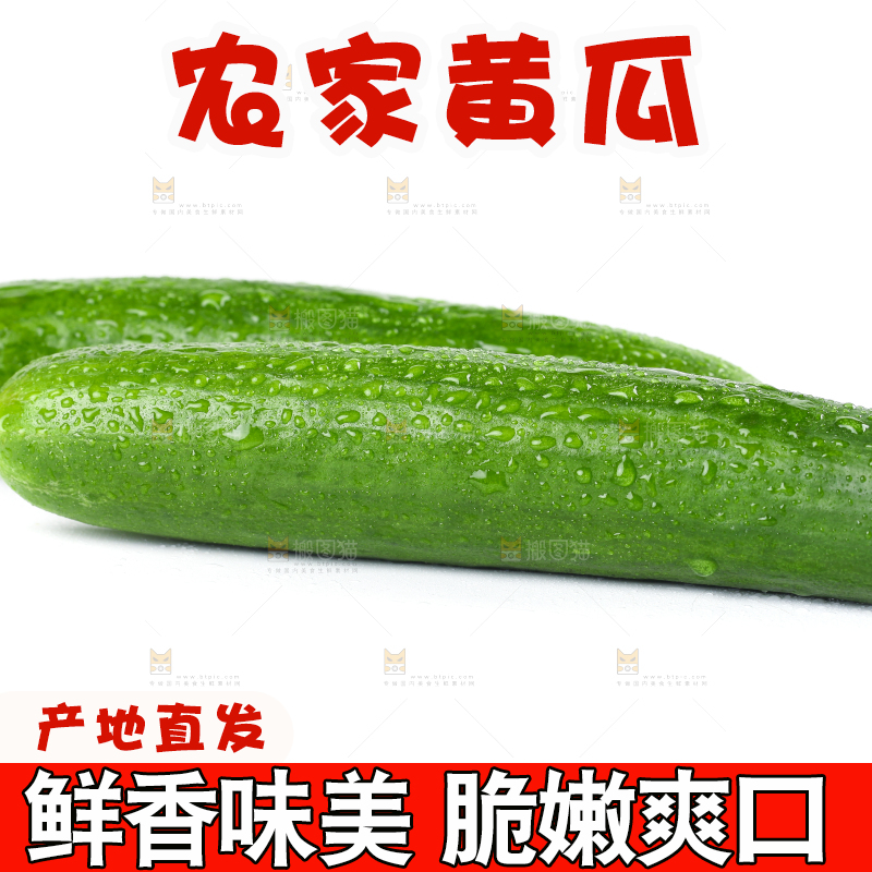 白底上的荷兰黄瓜