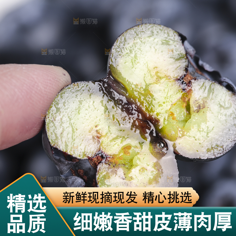 手里拿着蓝莓