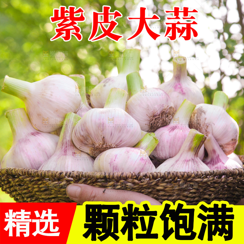 手里端着一篮新鲜大蒜