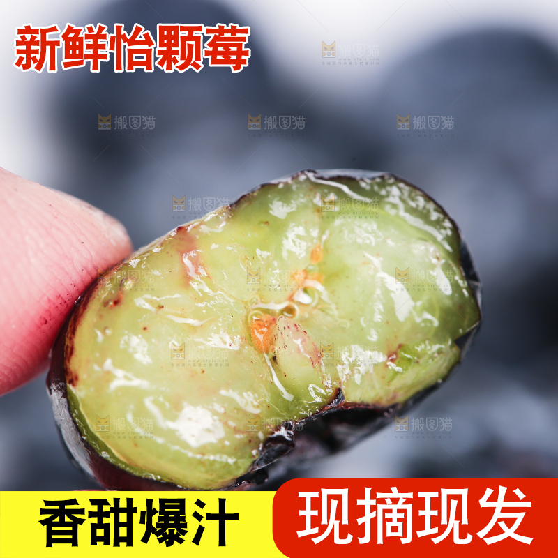 一堆新鲜莓蓝