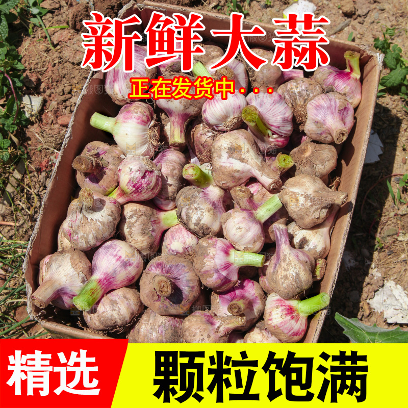 一箱新鲜大蒜