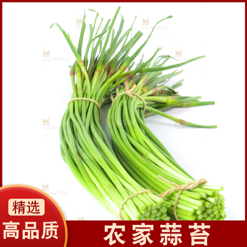 白底上的河南蒜苔