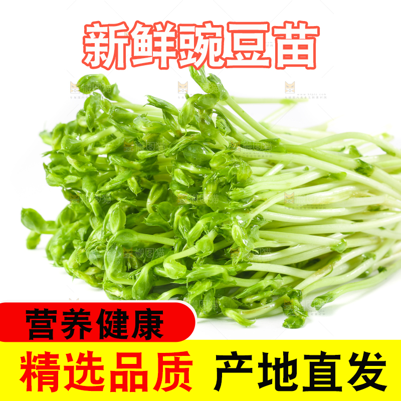 白底上放着豌豆芽菜