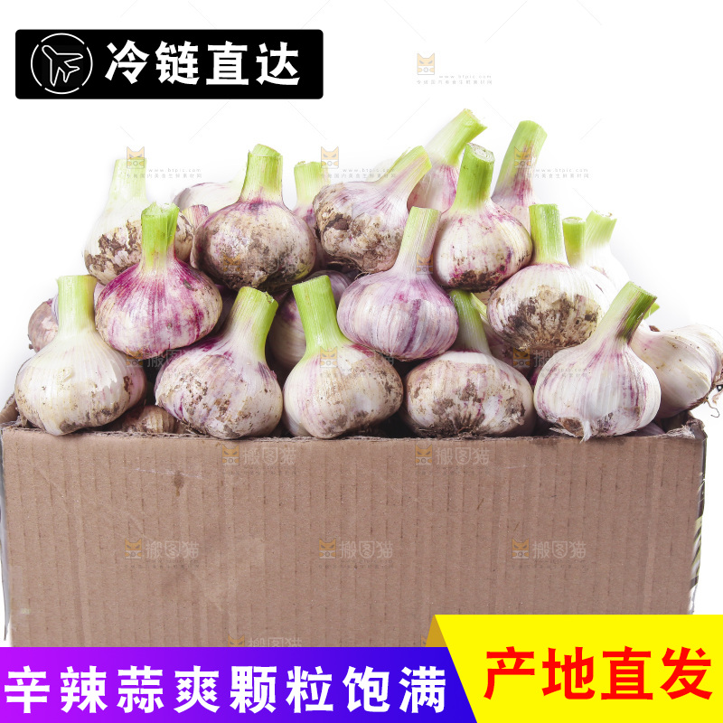 一箱新鲜大蒜