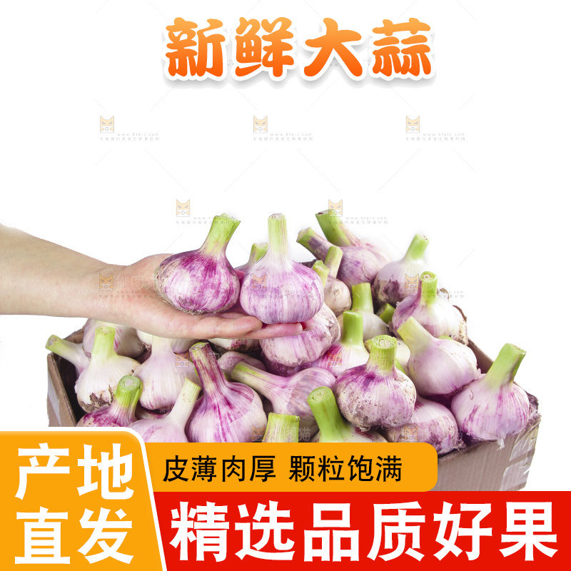 一箱新鲜大蒜