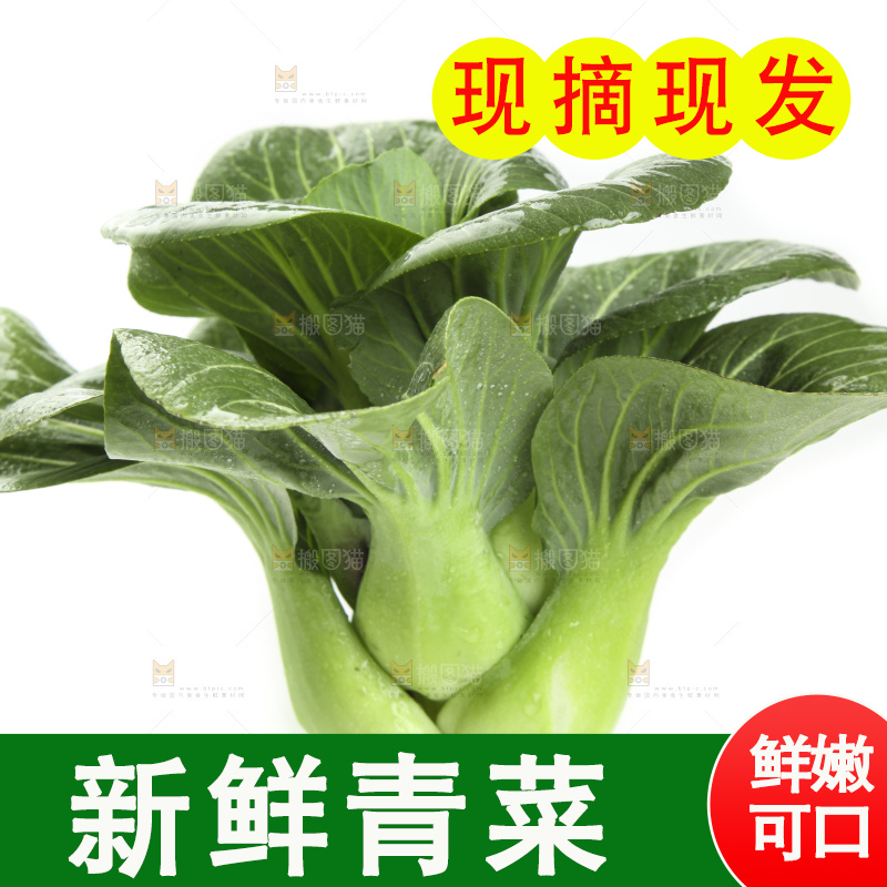白底上放着上海青