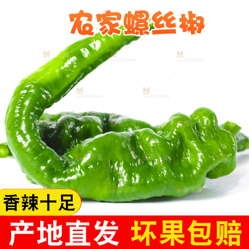 白底上的新鲜螺丝椒