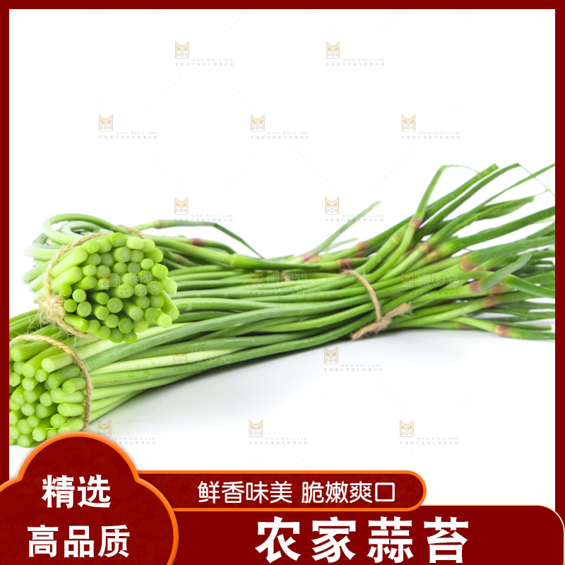 白底上的鲜嫩蒜苔