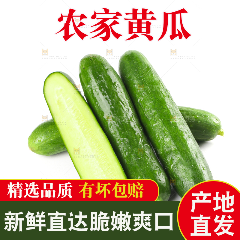 白底上的荷兰黄瓜