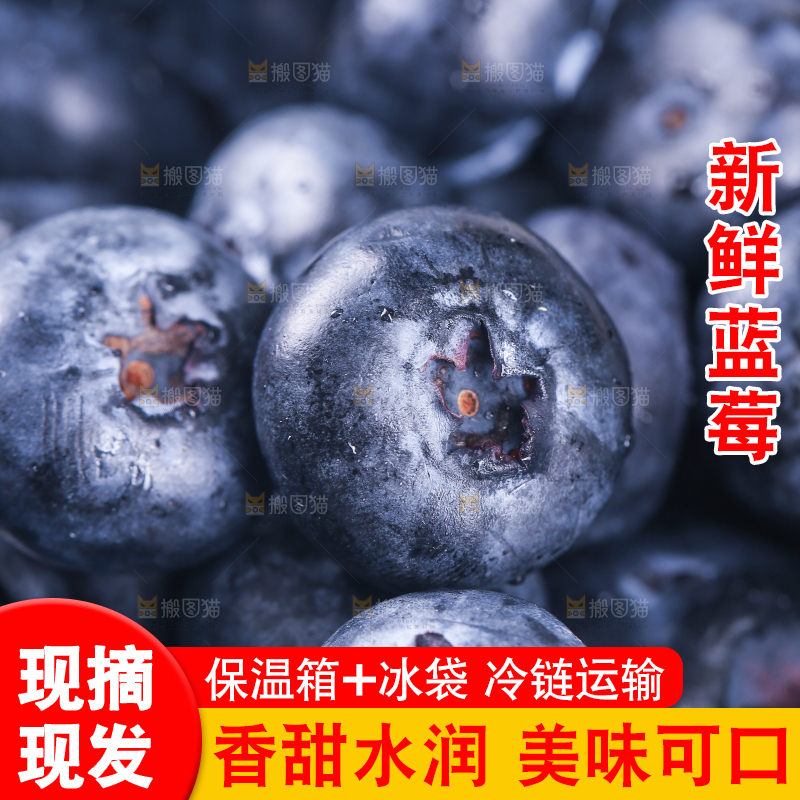 一堆新鲜莓蓝
