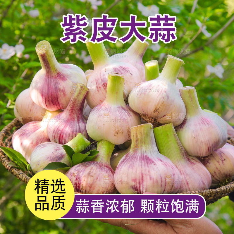 手里端着一篮新鲜大蒜