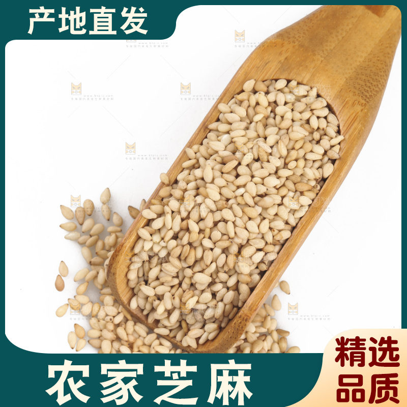 勺子上舀着芝麻