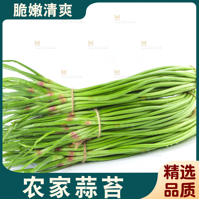白底上的鲜嫩蒜苔