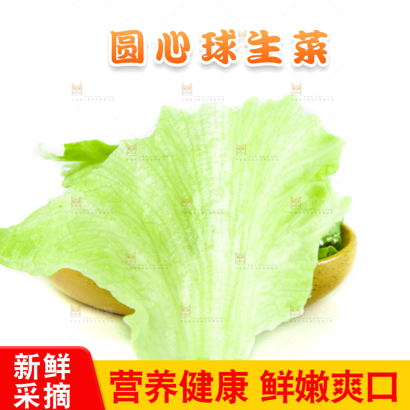 白底上的新鲜生菜