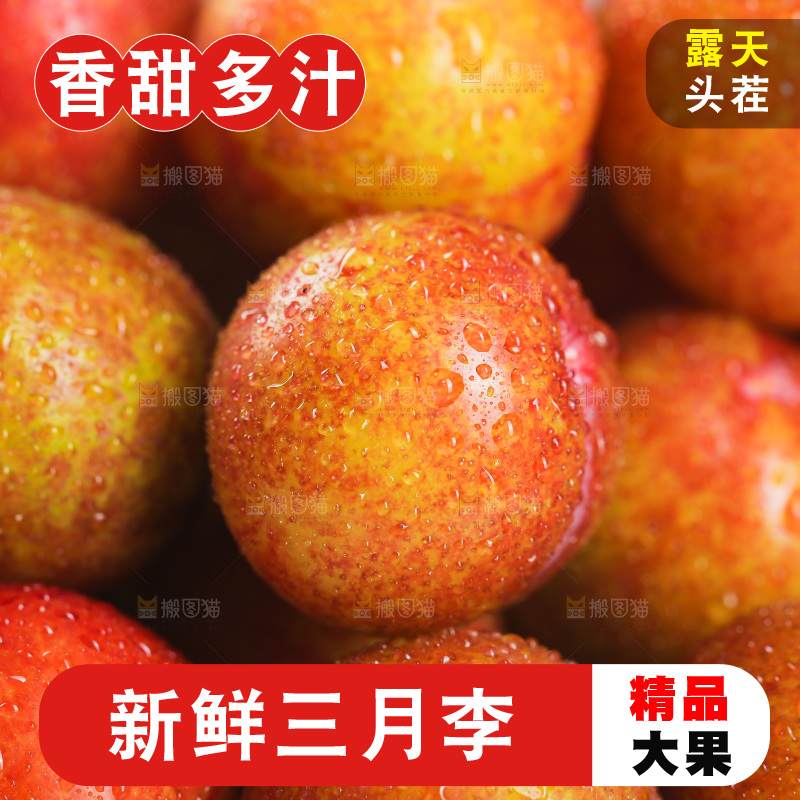 三月李纹理