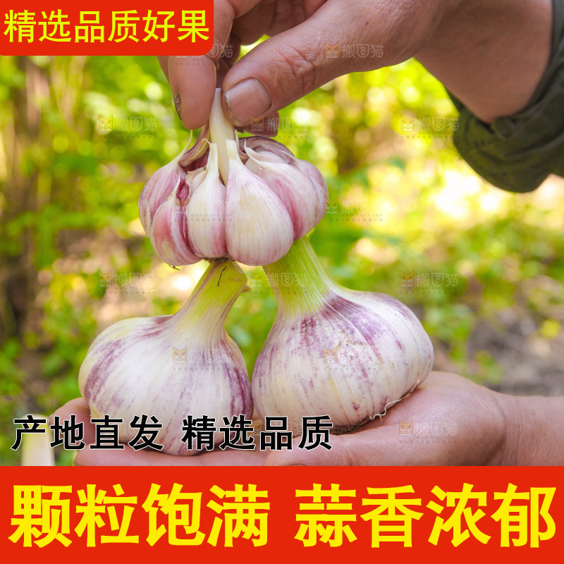 手里拿着大蒜