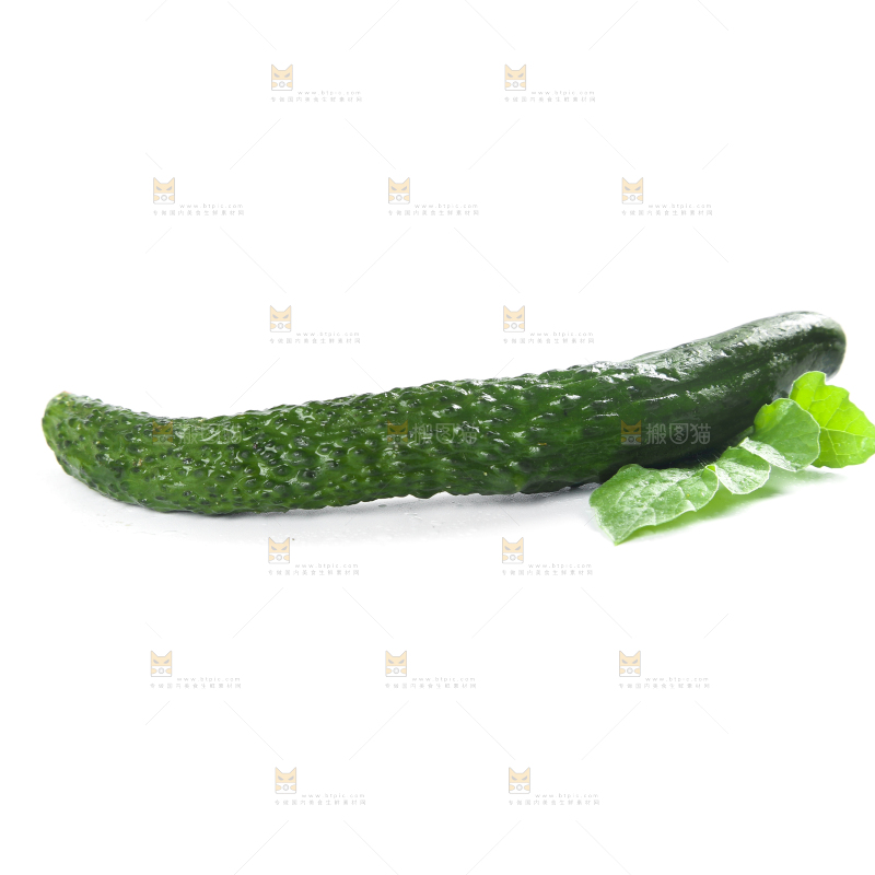 白底上摆放着新鲜黄瓜妞