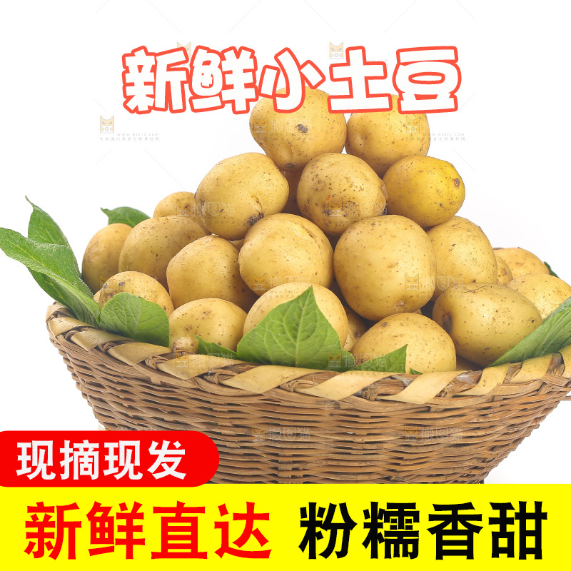 白底上放着一篮高山小土豆