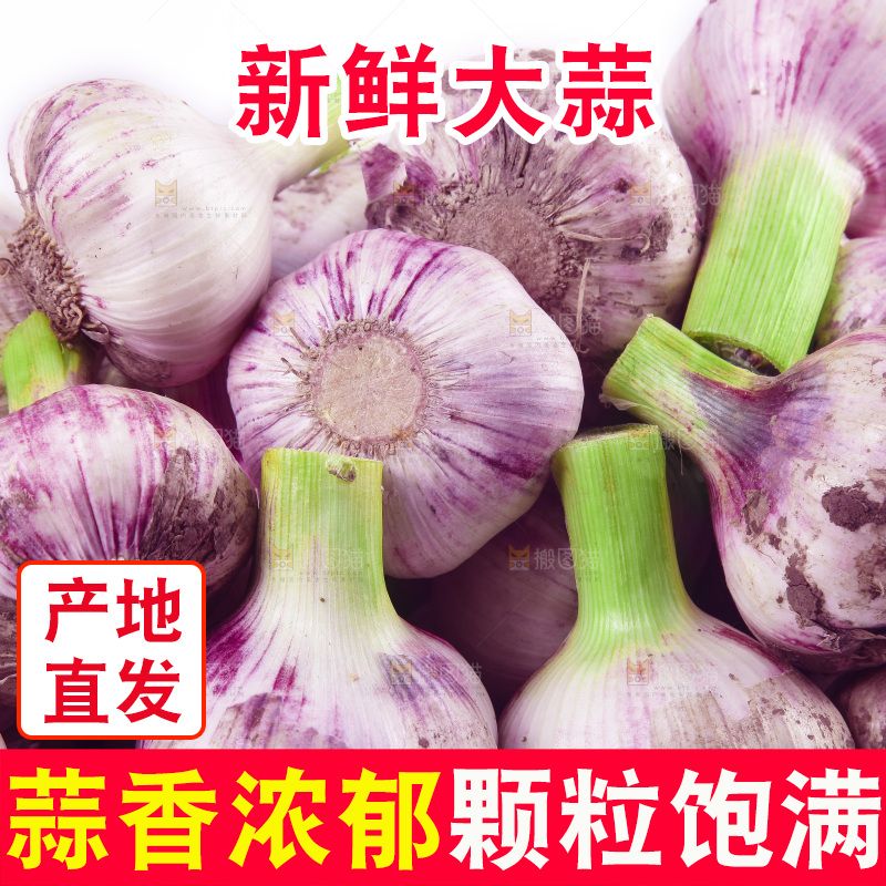 新鲜大蒜纹理