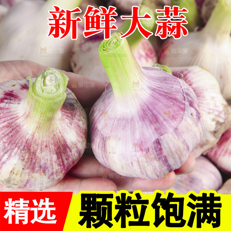 新鲜大蒜纹理