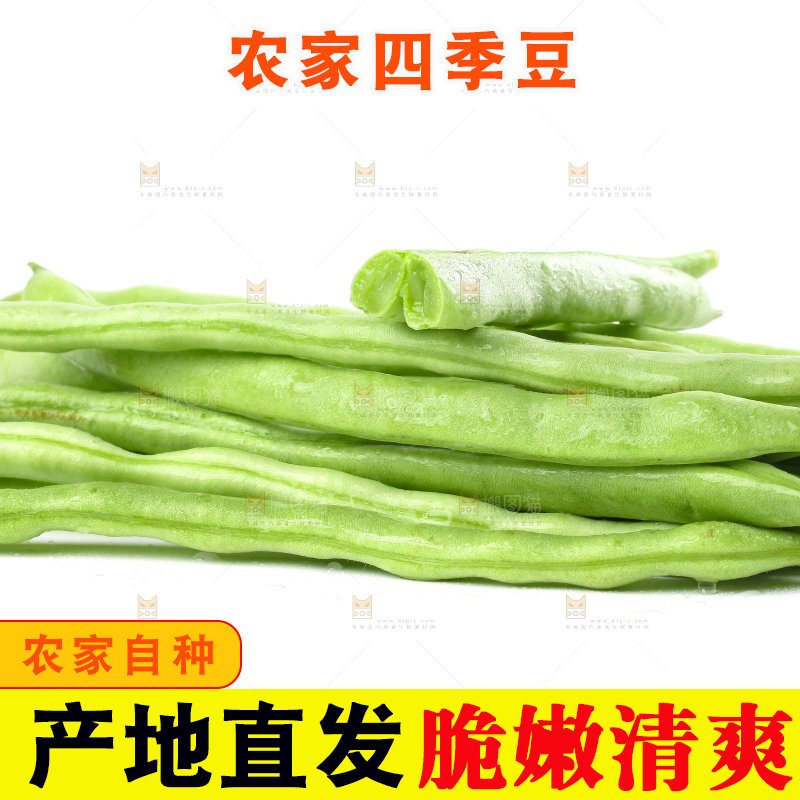 白底上摆放着四季豆