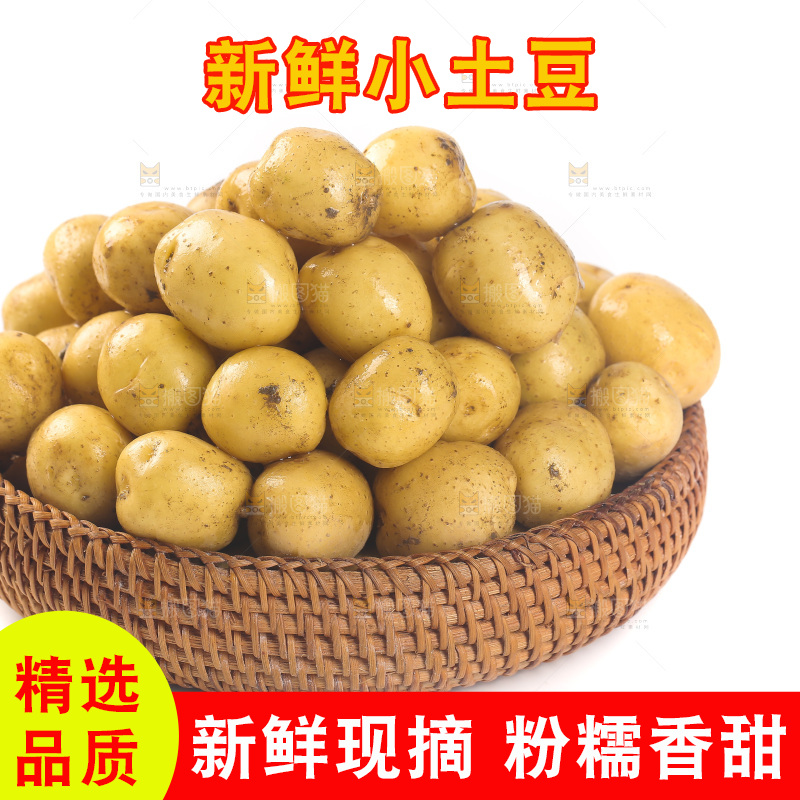 一篮小土豆