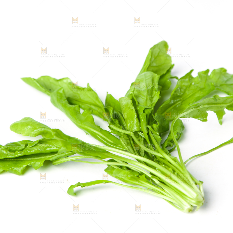 白底上的地菜
