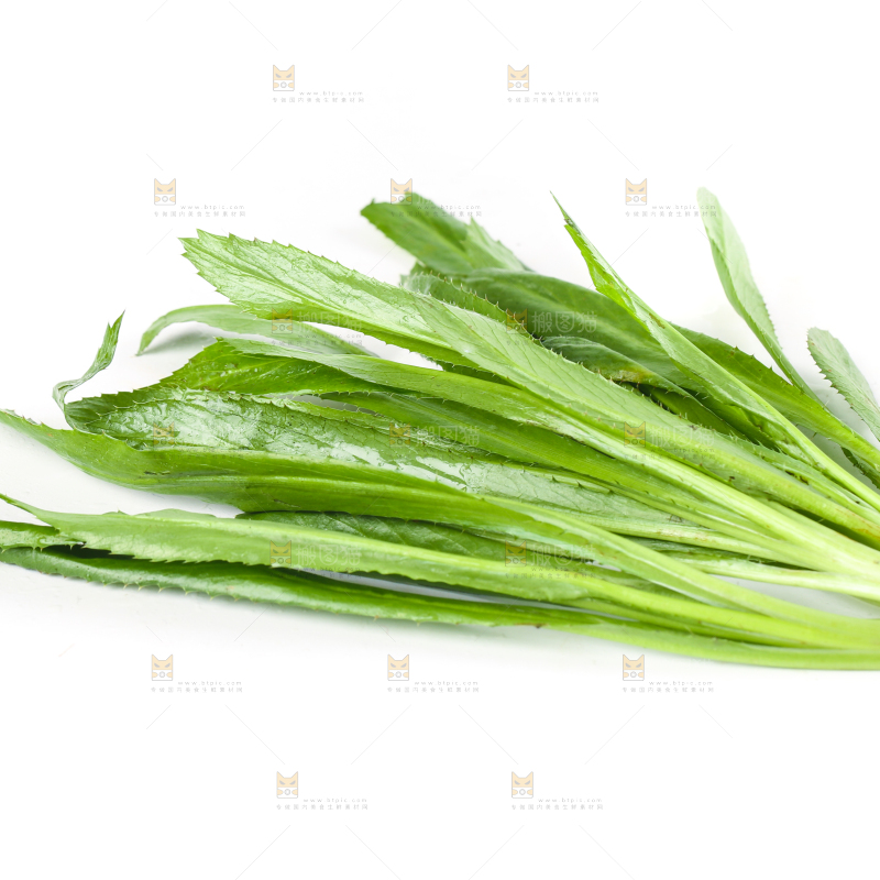 白底上的大香菜