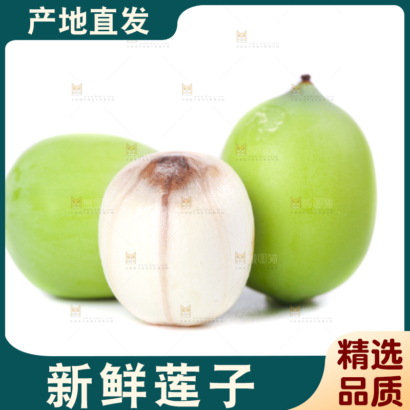 白底上摆放着嫩莲子