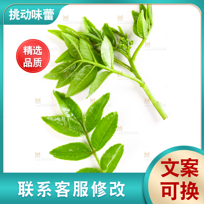 白底上放着花椒芽