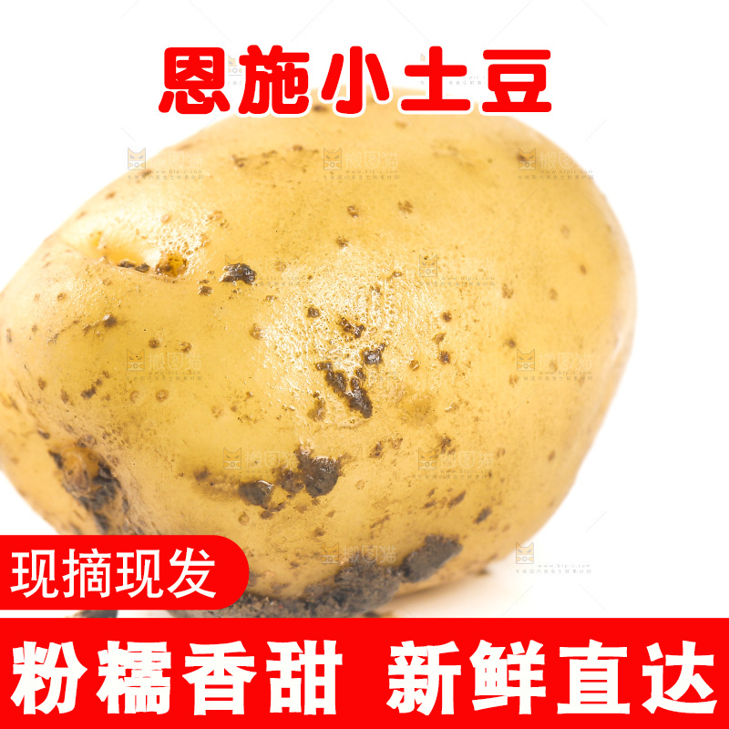 白底上放着黄心小土豆