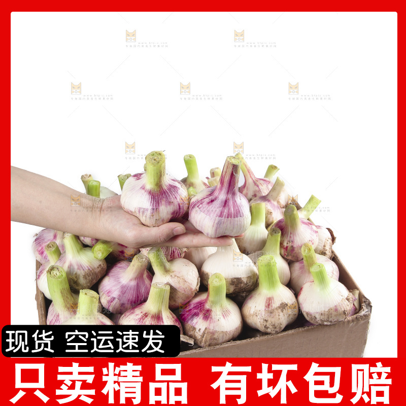 一箱新鲜大蒜