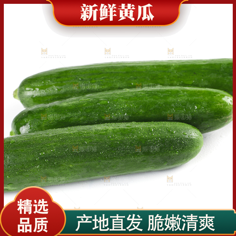 白底上放着新鲜水果黄瓜