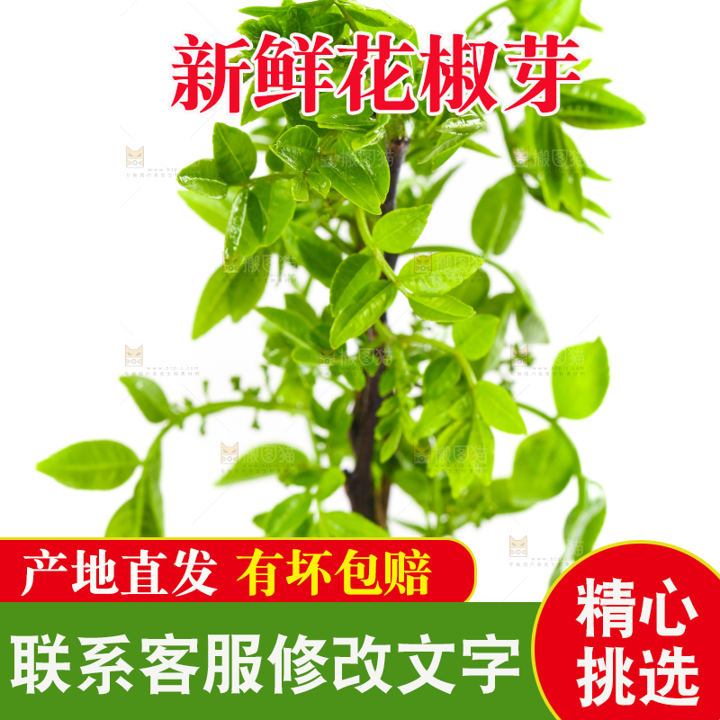 白底上放着花椒芽