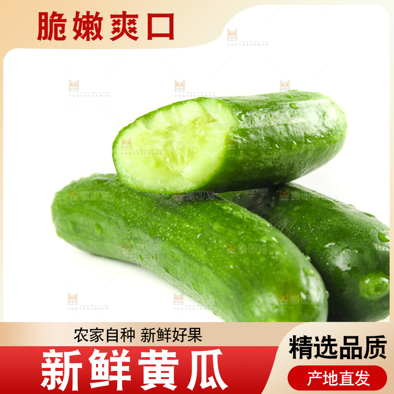白底上摆放着山东水果黄瓜